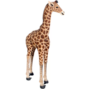 Grand Baby Giraffe Rental