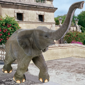 Trunk-Up Baby Elephant Rental