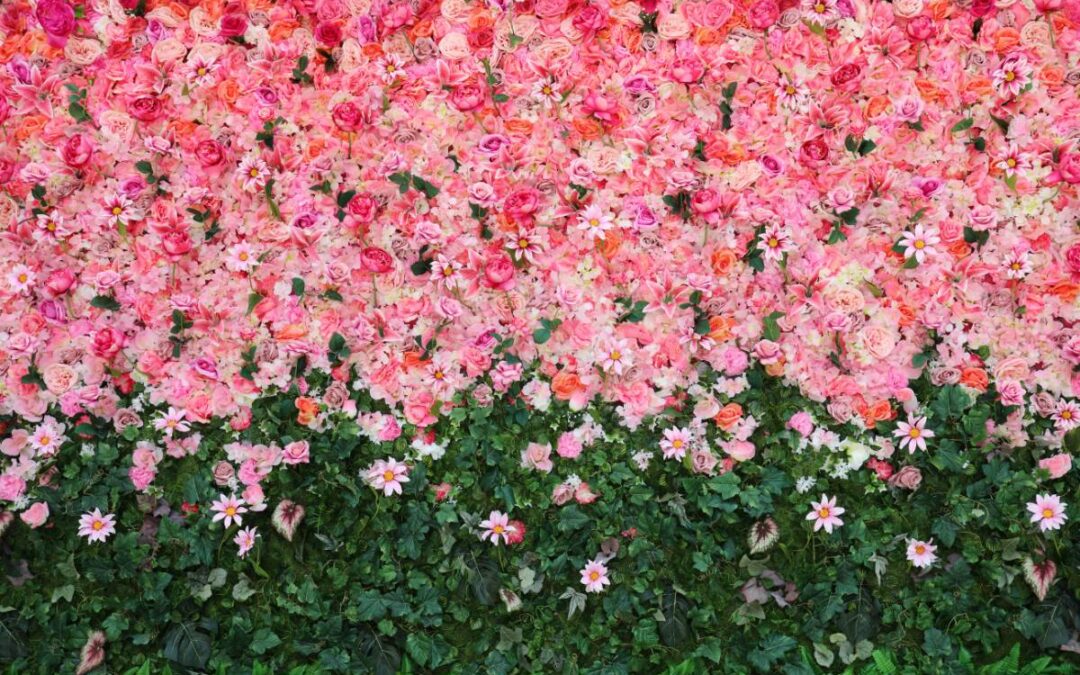 Rent Wedding Flower Wall Brampton