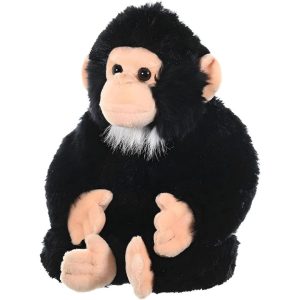 Baby Chimp Monkey