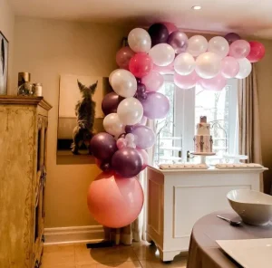 Balloon Package Balloon Package