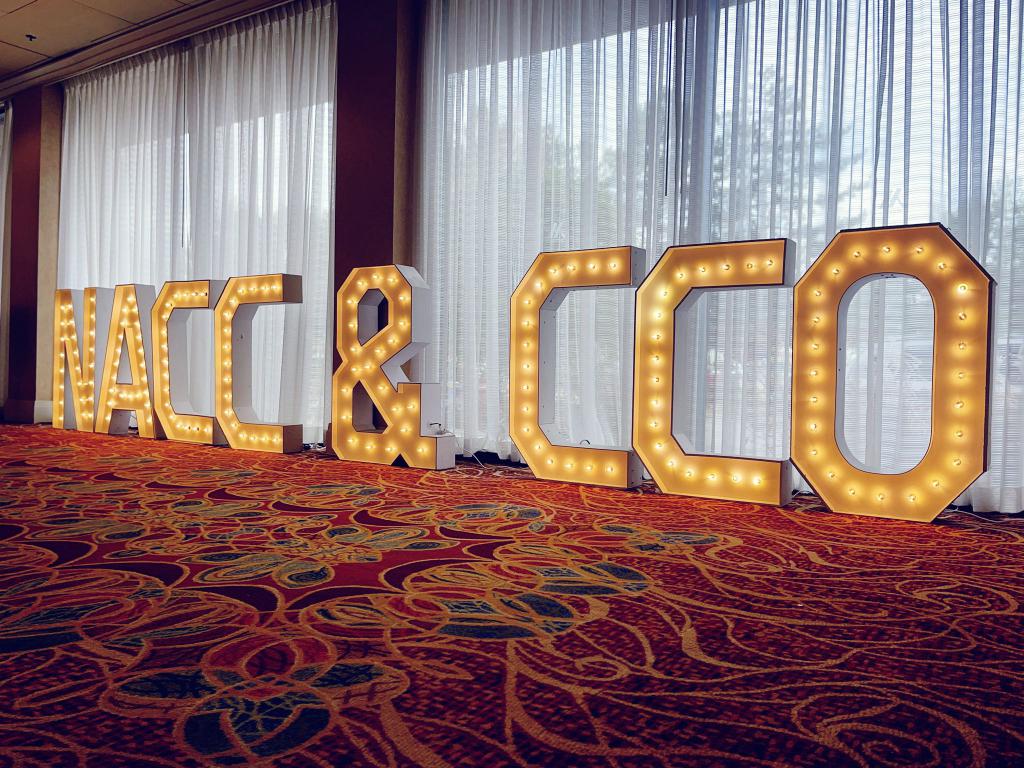Elevate Your Event with Kitchener Party Décor Experts