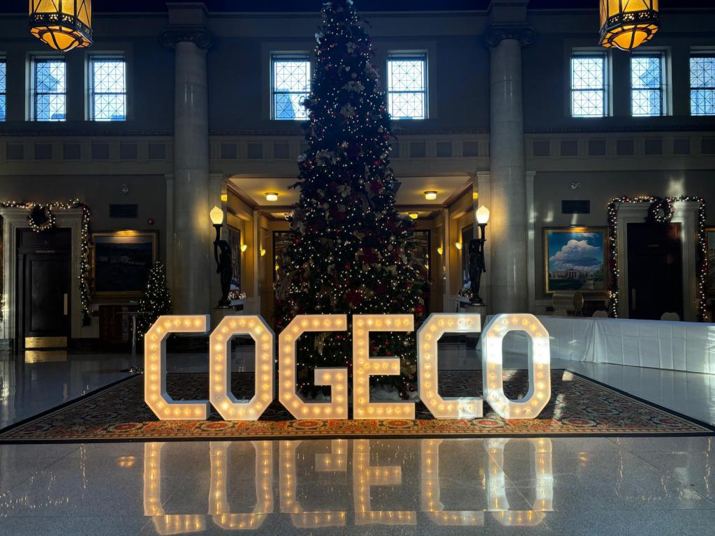 Mississauga Party Décor and Balloon Installations
