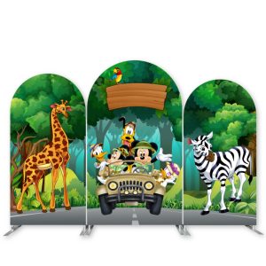 Kids Party Backdrops for Rent