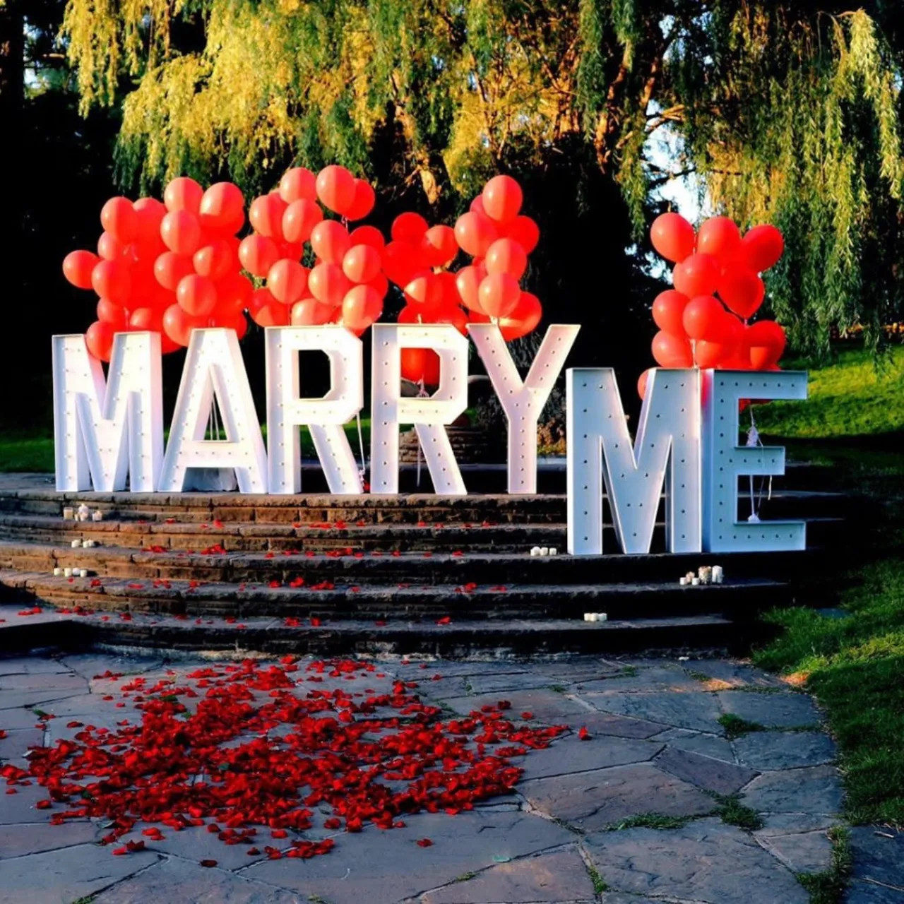 Brighton Marquee Decor Rental Company
