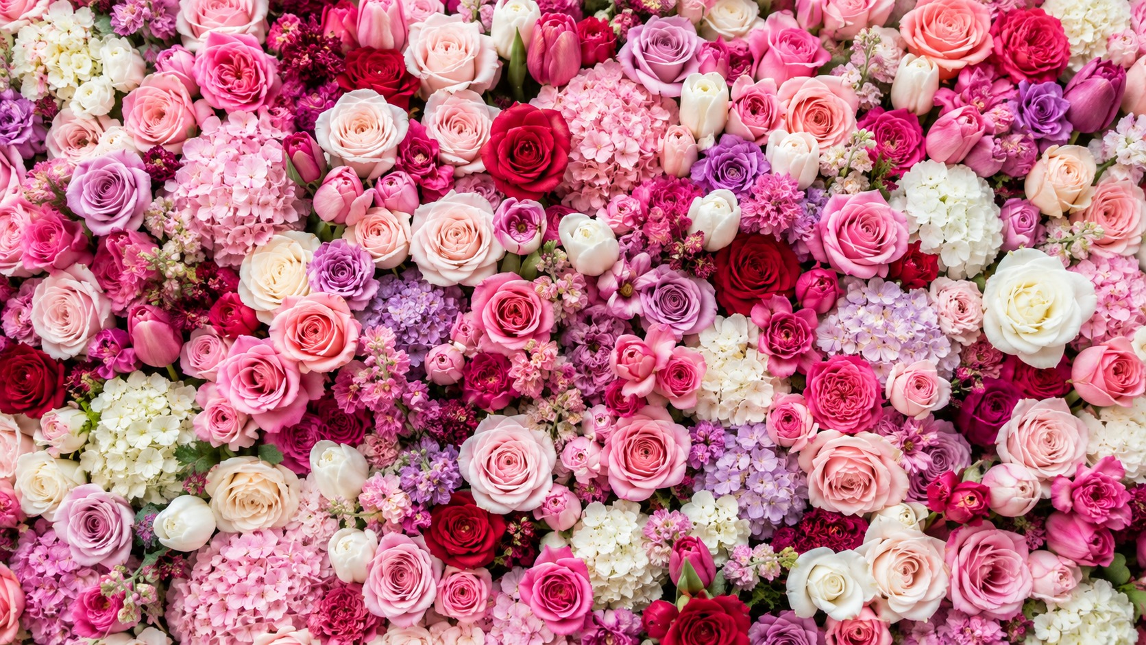 Close view of a densely packed floral wall of roses and tulips in five colours